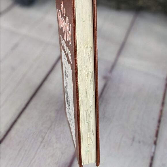 Diary of a Wimpy Kid - The Third Wheel - Picture 3 of 15